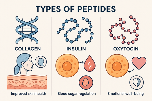 Peptides: The Most Common Types and Their Role in Medicine and Wellness