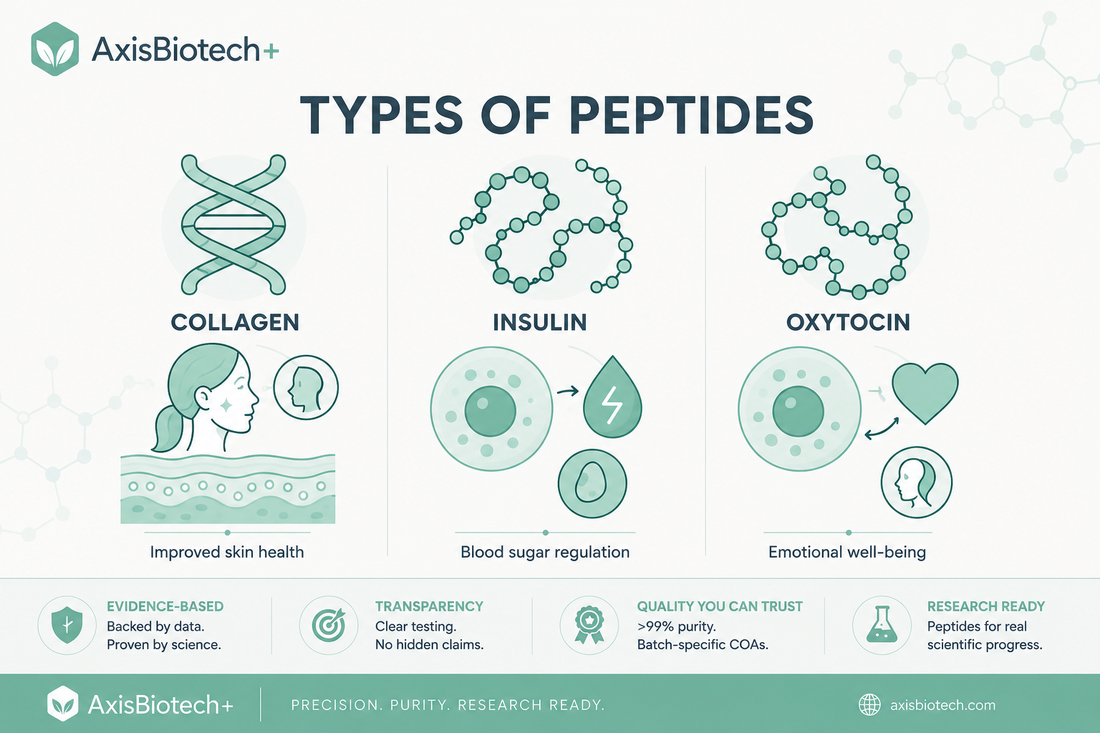 Peptides: The Most Common Types and Their Role in Medicine and Wellness