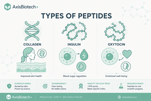 Peptides: The Most Common Types and Their Role in Medicine and Wellness